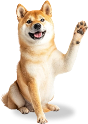 Cho