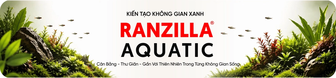 RANZILLA
